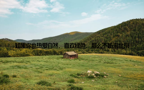 如果你也热爱自然, 喜欢绿色, 那么不妨来北京盆栽市场走一走, 这里有你想要的答案, 有你想看到的风景, 更有你未知的惊喜
