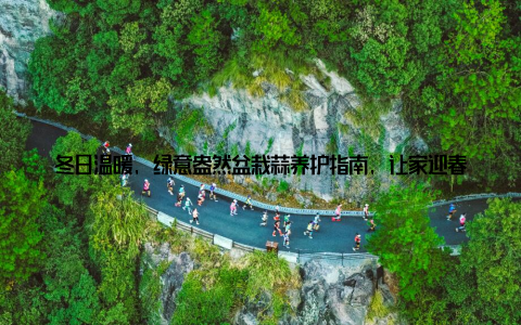 冬日温暖, 绿意盎然盆栽蒜养护指南, 让家迎春绽放随着冬日的脚步渐近, 许多人开始思考如何为家中增添一抹生机