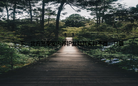 一下, 北方冬季室内养护盆栽其实并不难, 只要我们掌握了一些基本的技巧, 就能让我们的绿色小窝在寒冷的冬季里生机勃勃