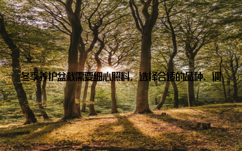 冬季养护盆栽需要细心照料, 选择合适的品种、调整光照、控制浇水、保持适宜的温度、防治病虫害以及修剪换土等手段, 让盆栽在寒冷的冬季中安然度过, 并在新春时节焕发活力