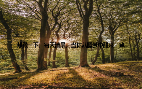 想象一下, 每天清晨, 当你从睡梦中醒来, 第一眼看到的不是冷冰冰的墙面, 而是那盆绿油油的咖啡豆盆栽, 它的生机勃勃, 仿佛在告诉你, 新的一天, 充满希望与活力