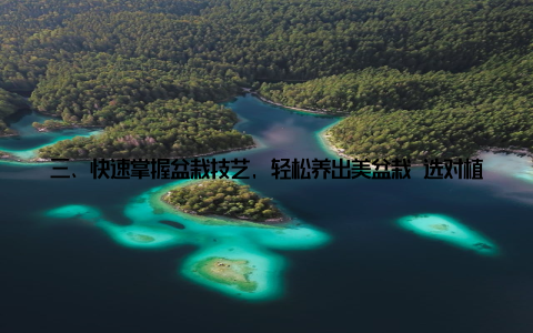 三、快速掌握盆栽技艺, 轻松养出美盆栽 选对植物选择适合自己养护能力的植物, 如绿萝、吊兰、多肉植物等