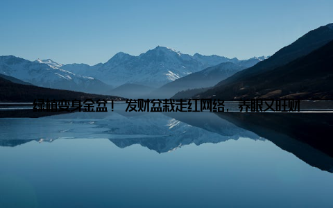 绿植变身金盆! 发财盆栽走红网络, 养眼又旺财, 年轻人纷纷种上它! 近年来, 随着生活节奏的加快, 人们越来越注重身心健康