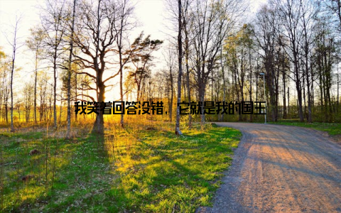我笑着回答没错, 它就是我的国王