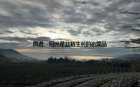 再者, 阳光是盆栽生长的必需品