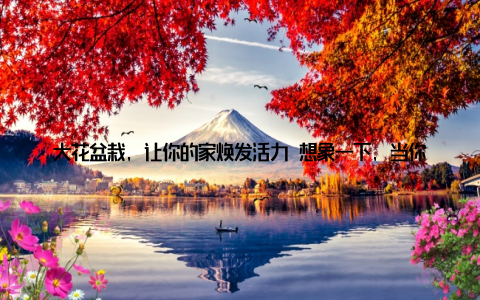 大花盆栽, 让你的家焕发活力 想象一下, 当你疲惫地回到家中, 看到那一盆盆绿意盎然的大花盆栽, 心情是不是瞬间明朗起来? 大花盆栽不仅能净化空气, 还能为你的家增添一抹生机