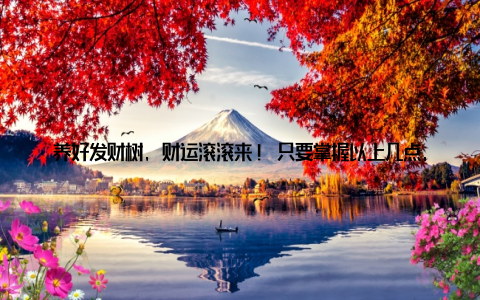 养好发财树, 财运滚滚来! 只要掌握以上几点, 相信大家都能轻松养好发财树, 为自己的家庭增添一份吉祥与美好