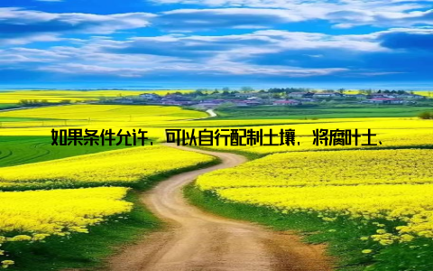 如果条件允许, 可以自行配制土壤, 将腐叶土、粗沙、珍珠岩按照3:2:1的比例混合, 这样既透气又保湿
