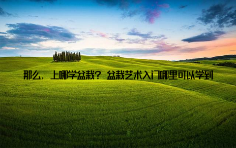 那么, 上哪学盆栽? 盆栽艺术入门哪里可以学到盆栽种植技巧? 今天, 就让我们一起揭开这个神秘的面纱, 开启一段与绿植共舞的旅程