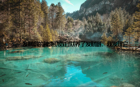 二、发财树的神奇功效自从养了发财树, 我发现它具有许多神奇的功效 吸甲醛发财树具有很强的吸附能力, 能有效去除室内甲醛、苯等有害气体, 净化室内空气