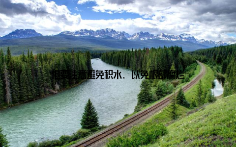 但要注意避免积水, 以免根部腐烂