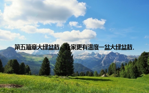 第五篇章大绿盆栽, 让家更有温度一盆大绿盆栽, 不仅能为家增添绿意, 更能让我们在忙碌的生活中找到一份宁静