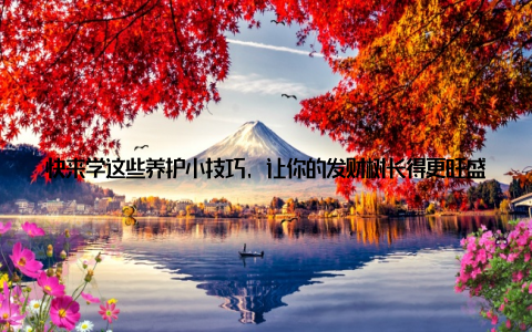 快来学这些养护小技巧, 让你的发财树长得更旺盛吧! 相信在不久的将来, 你的发财树一定能成为你家中的一道亮丽风景线, 让你的生活充满阳光和希望!