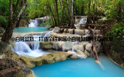 小白兔盆栽, 打造个性家居小白兔盆栽不仅可以单独摆放, 还可以与其他家居饰品搭配, 打造出独具个性的家居风格