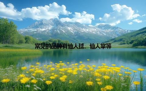 常见的品种有仙人球、仙人掌等