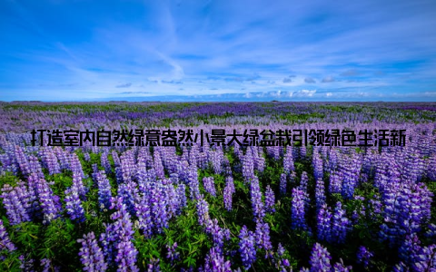 打造室内自然绿意盎然小景大绿盆栽引领绿色生活新风尚北京, 2023年4月8日随着生活节奏的加快, 人们对于自然环境的渴望愈发强烈