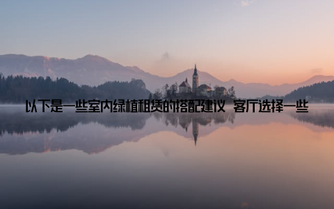 以下是一些室内绿植租赁的搭配建议 客厅选择一些大型绿植, 如绿萝、吊兰等, 既能净化空气, 又能提升空间层次