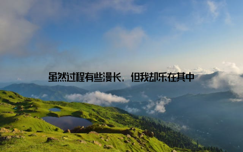 虽然过程有些漫长, 但我却乐在其中