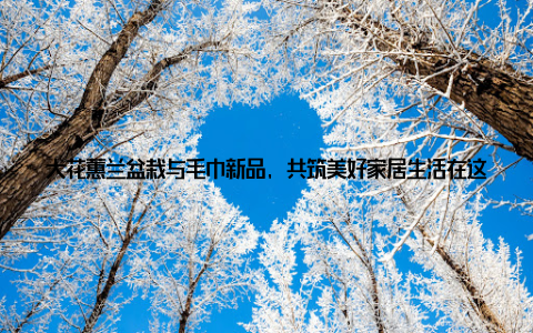 大花蕙兰盆栽与毛巾新品, 共筑美好家居生活在这个充满活力的时代, 大花蕙兰盆栽和毛巾新品的出现, 无疑为我们的家居生活带来了新的活力