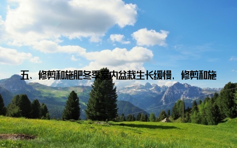 五、修剪和施肥冬季室内盆栽生长缓慢, 修剪和施肥要适量 修剪及时修剪枯黄叶片和病弱枝条, 保持植物形态美观