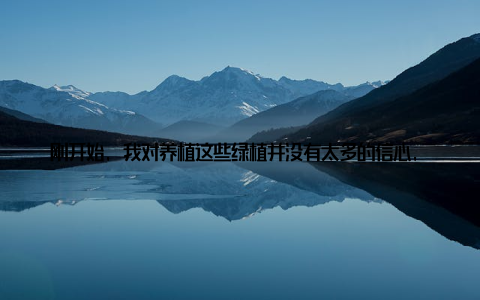 刚开始, 我对养植这些绿植并没有太多的信心, 但没想到, 在绿植巨头大绿盆栽的帮助下, 我的生活竟然发生了翻天覆地的变化