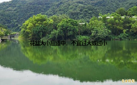 花盆大小应适中, 不宜过大或过小