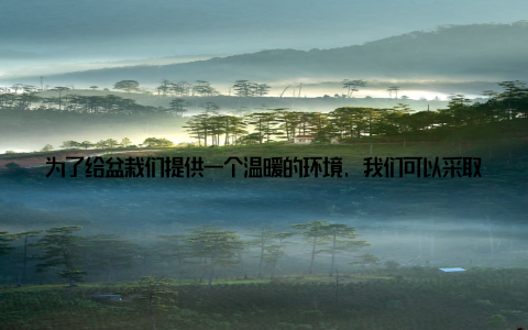 为了给盆栽们提供一个温暖的环境, 我们可以采取以下措施 给盆栽套上塑料袋在寒冷的夜晚, 我们可以给盆栽套上塑料袋, 形成一个保温层, 防止寒风直接吹到盆栽上