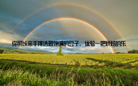 你可以亲手挑选最饱满的豆子, 体验一把烘焙的乐趣, 然后泡上一杯自己种植的咖啡, 那份香醇, 是市面上任何一杯咖啡都无法比拟的
