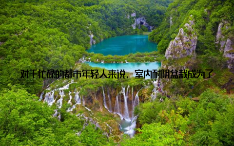 对于忙碌的都市年轻人来说, 室内耐阴盆栽成为了养护首选, 它们不仅能在阴凉的环境中茁壮成长, 还能为我们的生活带来无尽的活力