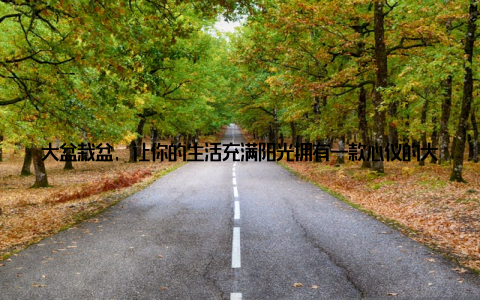大盆栽盆, 让你的生活充满阳光拥有一款心仪的大盆栽盆, 不仅能让你感受到大自然的美好, 还能让你的生活充满阳光