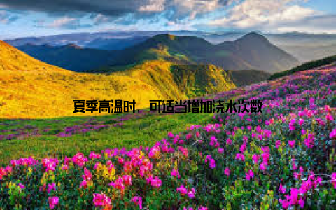 夏季高温时, 可适当增加浇水次数