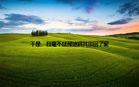 于是, 我毫不犹豫地将其带回了家