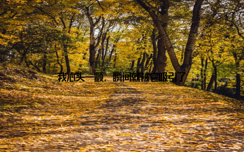 我心头一颤, 瞬间就被它吸引了