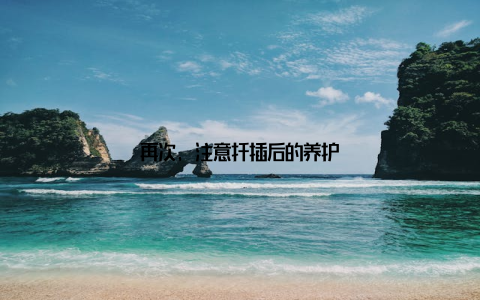 再次, 注意扦插后的养护