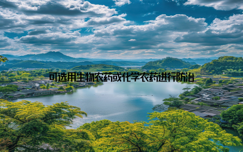 可选用生物农药或化学农药进行防治