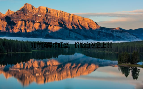 如市场需求旺盛, 价格自然会上涨