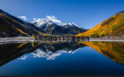 光照是植物生长的重要条件