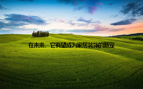 在未来, 它有望成为家居装饰的新宠