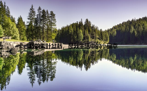 我的紫叶盆栽, 是我生活中的小确幸