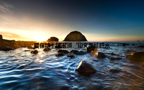 要保持土壤湿润, 但又不能积水