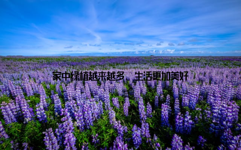 家中绿植越来越多, 生活更加美好