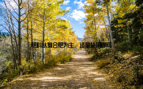 肥料以复合肥为主, 适量施用即可