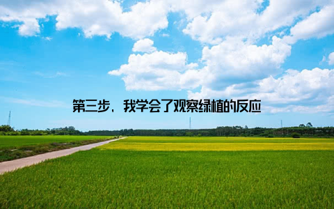 第三步, 我学会了观察绿植的反应