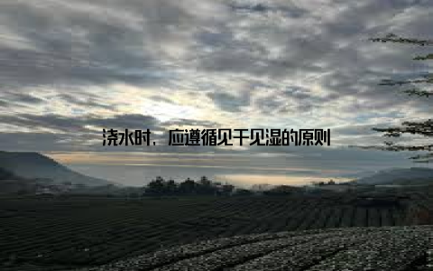 浇水时, 应遵循见干见湿的原则