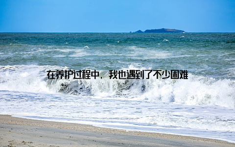 在养护过程中, 我也遇到了不少困难