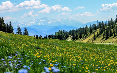 浇水月季喜水, 但忌积水