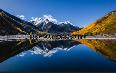 很多年轻人喜欢购买多肉植物