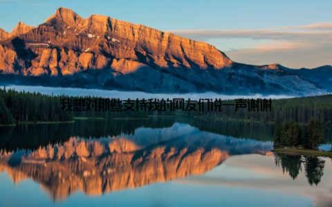 我想对那些支持我的网友们说一声谢谢