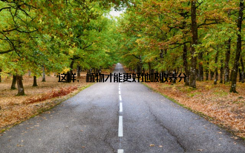 这样, 植物才能更好地吸收养分