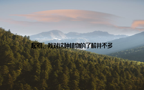 起初, 我对这种植物的了解并不多